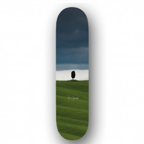 PLAZABOARDS TAVOLA SKATEBOARD PENNY 8,25"