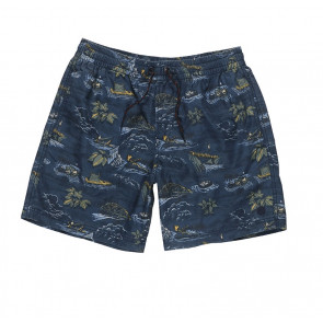 ELEMENT SHORTS UOMO ARROWROCK WK RIVER RATS BLUE