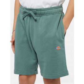 DICKIES SHORTS BAMBINO RAGAZZO MAPLETON DARK FOREST