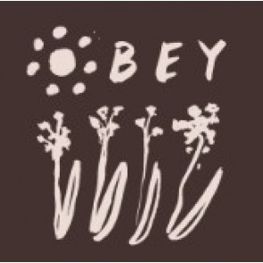 OBEY T-SHIRT DONNA MEDI FLOWERS RAEGAN JAVA BROWN